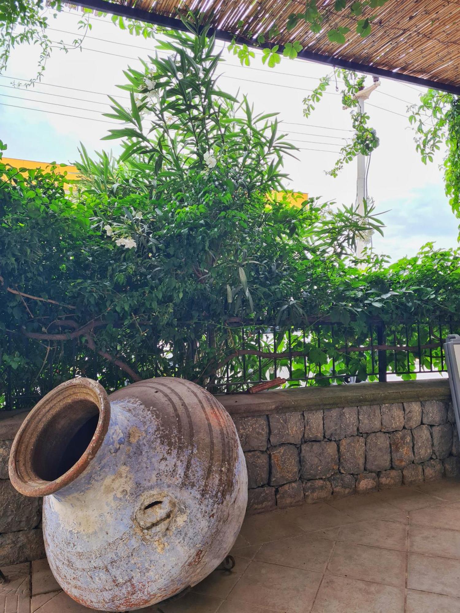 Fora Apart Otel Çeşme Exteriör bild